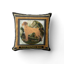 Duitse Shorthaired Pointer Sport