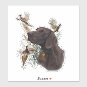Duitse shorthaired pointer sticker