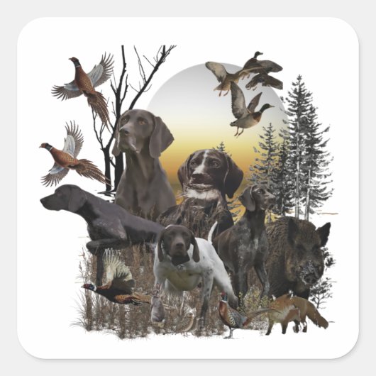 Duitse Shorthaired Pointer Vierkante Sticker (Voorkant)