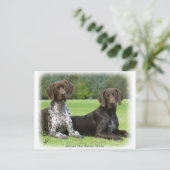 Duitse Shorthaired Pointers 9J37D-09 Briefkaart (Staand voorkant)
