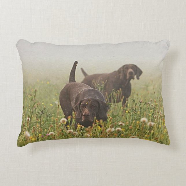 Duitse Shorthaired Pointers Accent Kussen (Voorkant)