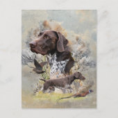 Duitse Shorthaired Pointers Briefkaart (Voorkant)