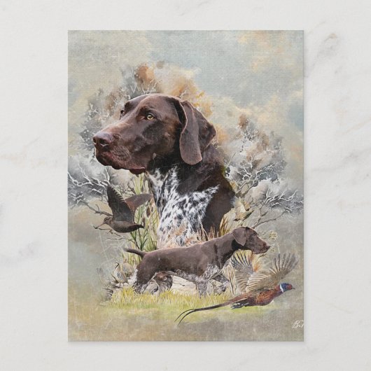 Duitse Shorthaired Pointers Briefkaart (Voorkant)