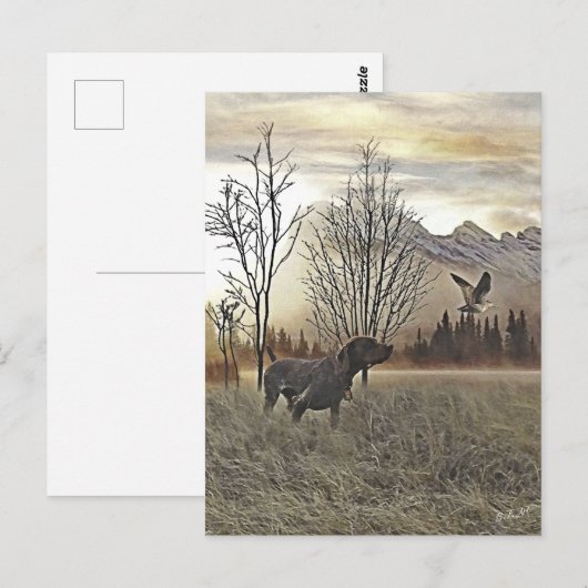 Duitse Shorthaired Pointers Briefkaart (Voorkant / Achterkant)