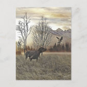 Duitse Shorthaired Pointers Briefkaart (Voorkant)