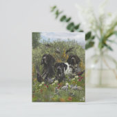 Duitse Shorthaired Pointers Briefkaart (Staand voorkant)