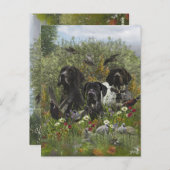 Duitse Shorthaired Pointers Briefkaart (Voorkant / Achterkant)