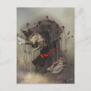 Duitse Shorthaired Pointers Briefkaart