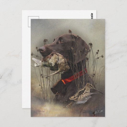 Duitse Shorthaired Pointers Briefkaart (Voorkant / Achterkant)