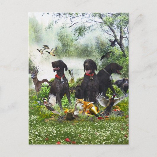 Duitse Shorthaired Pointers Briefkaart (Voorkant)