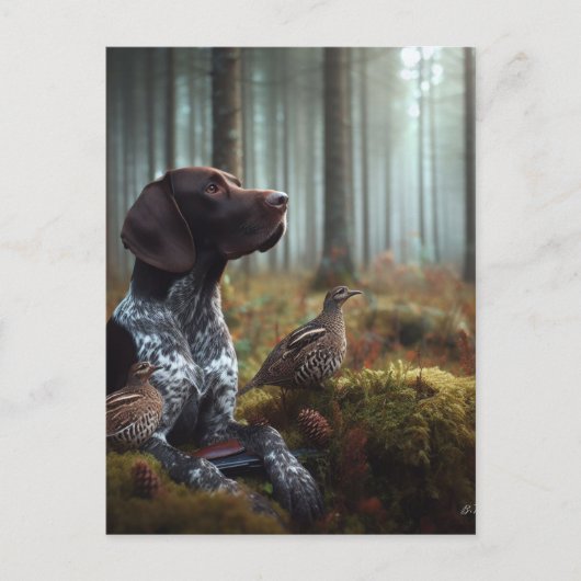 Duitse Shorthaired Pointers Briefkaart (Voorkant)