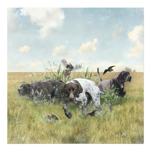 Duitse Shorthaired Pointers Foto Afdruk (Voorkant)