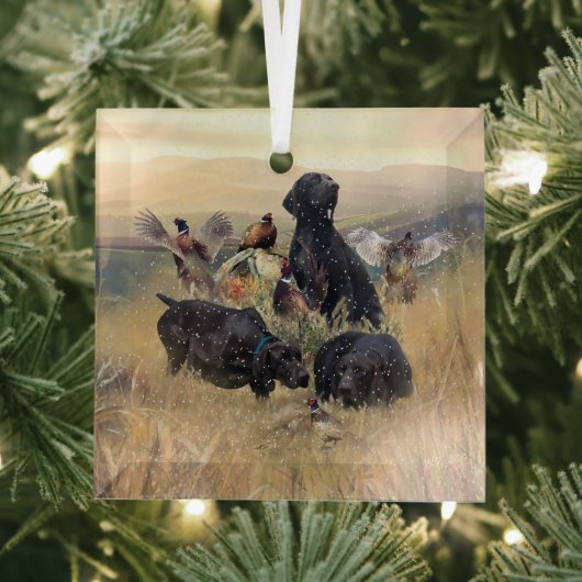 Duitse Shorthaired Pointers Glas Ornament (Insitu)