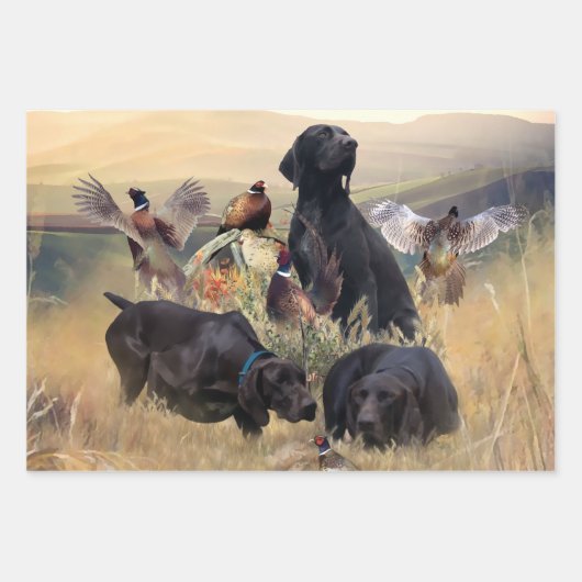 Duitse Shorthaired Pointers Inpakpapier Vel (Voorkant)