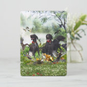 Duitse Shorthaired Pointers Kaart (Staand voorkant)