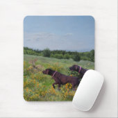 Duitse Shorthaired Pointers Muismat (Met muis)