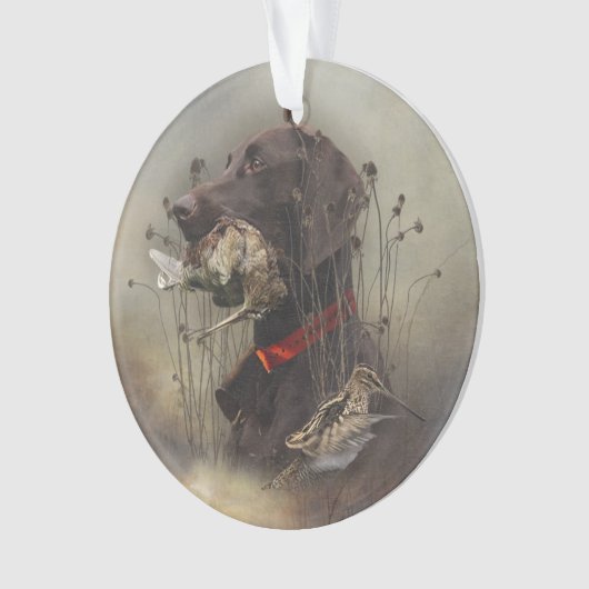 Duitse Shorthaired Pointers Ornament (voorkant)