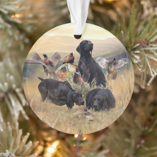 Duitse Shorthaired Pointers Ornament (Boom)