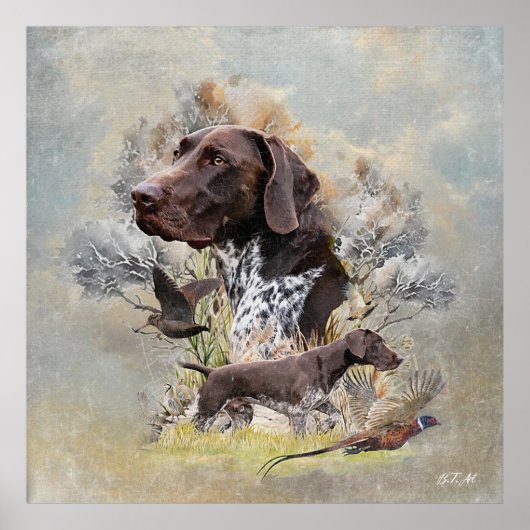 Duitse Shorthaired Pointers Poster (Voorkant)