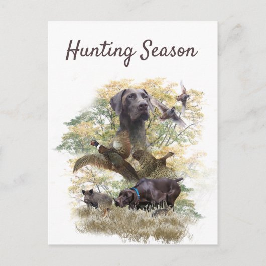 Duitse Shorthaired Pointers (SAP) Briefkaart (Voorkant)