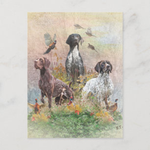 Duitse Shorthaired Pointers (SAP) Briefkaart