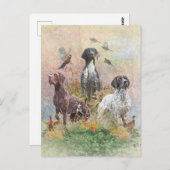 Duitse Shorthaired Pointers (SAP) Briefkaart (Voorkant / Achterkant)