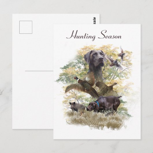Duitse Shorthaired Pointers (SAP) Briefkaart (Voorkant / Achterkant)