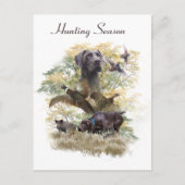 Duitse Shorthaired Pointers (SAP) Briefkaart (Voorkant)