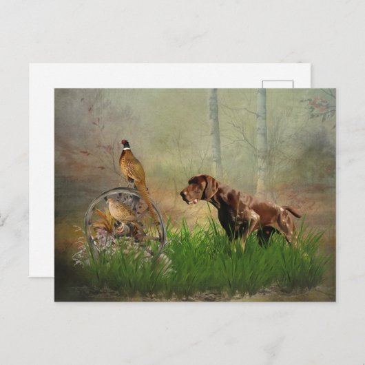 Duitse Shorthaired Pointers (SAP) Briefkaart (Voorkant / Achterkant)