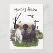 Duitse Shorthaired Pointers (SAP), een jachtfauna Briefkaart (Voorkant)