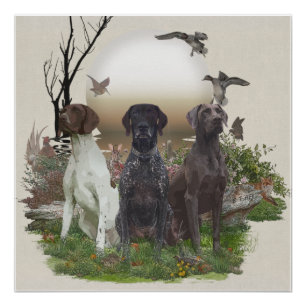 Duitse Shorthaired Pointers (SAP), een jachtfauna Perfect Poster