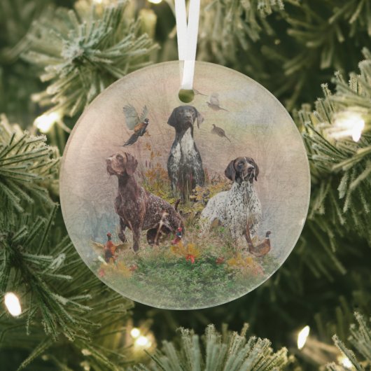 Duitse Shorthaired Pointers (SAP) Glas Ornament (Insitu)