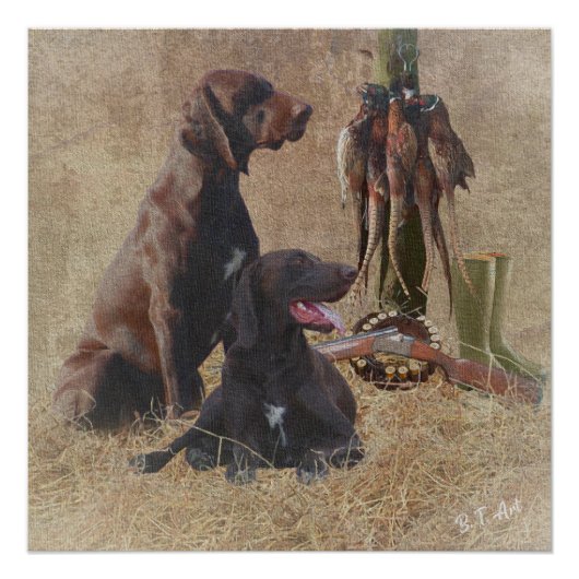 Duitse Shorthaired Pointers (SAP) Perfect Poster (Voorkant)
