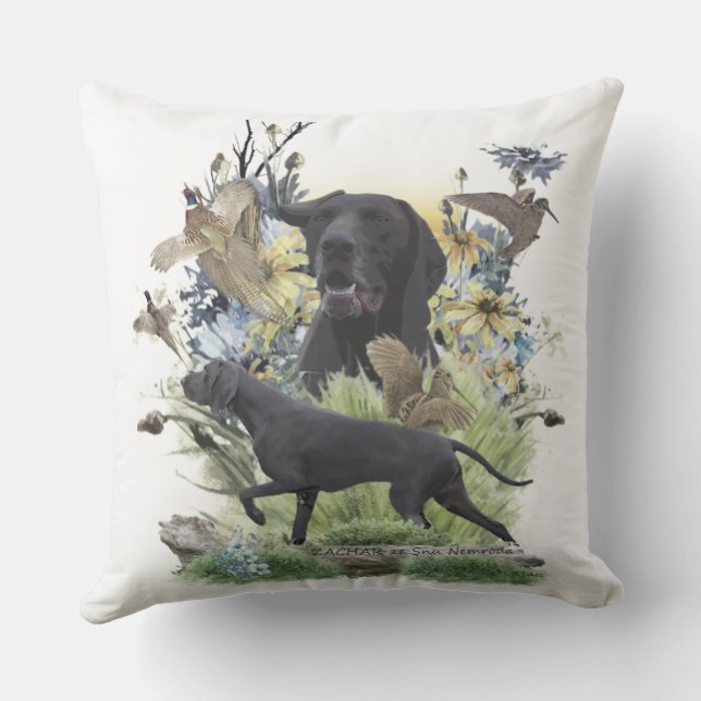 Duitse Shorthaired Pointers (SAP) - Pijler buiten Buitenkussen (Achterkant)