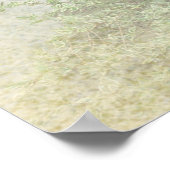 Duitse Shorthaired Pointers (SAP) Poster (Hoek)