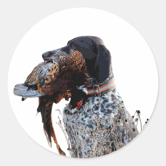 Duitse Shorthaired Pointers (SAP) Ronde Sticker (Voorkant)