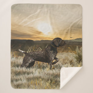 Duitse Shorthaired Pointers (SAP) Sherpa Deken