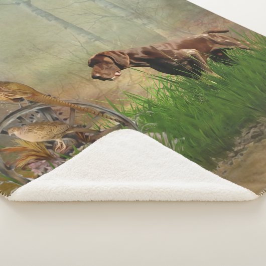 Duitse Shorthaired Pointers (SAP) Sherpa Deken (3/4)