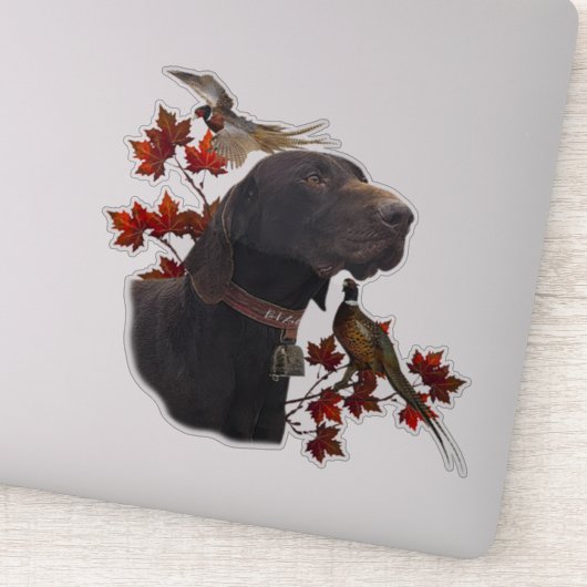 Duitse Shorthaired Pointers (SAP) Sticker (Detail)