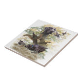 Duitse Shorthaired Pointers (SAP) Tegeltje (Zijkant)