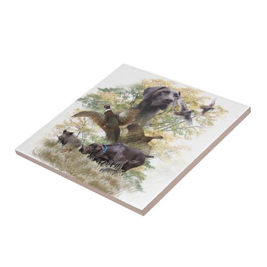 Duitse Shorthaired Pointers (SAP) Tegeltje (Zijkant)