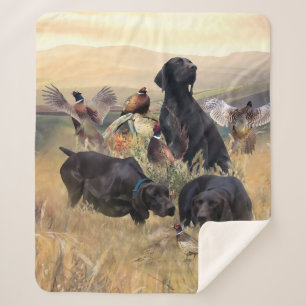 Duitse Shorthaired Pointers Sherpa Deken