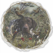 Duitse Shorthaired Pointers Sticker (Voorkant)