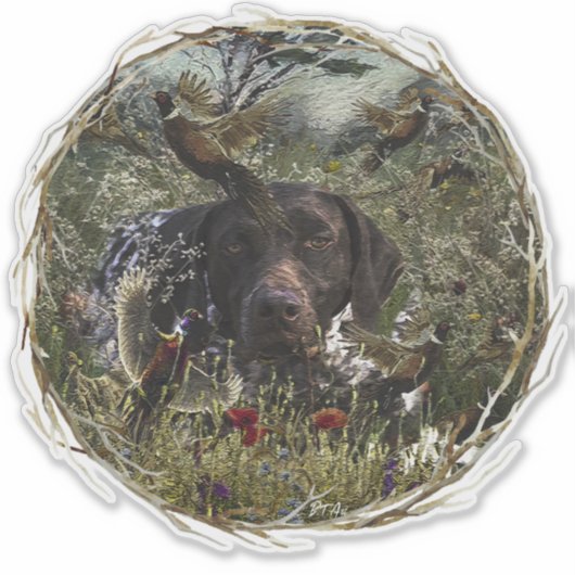 Duitse Shorthaired Pointers Sticker (Voorkant)