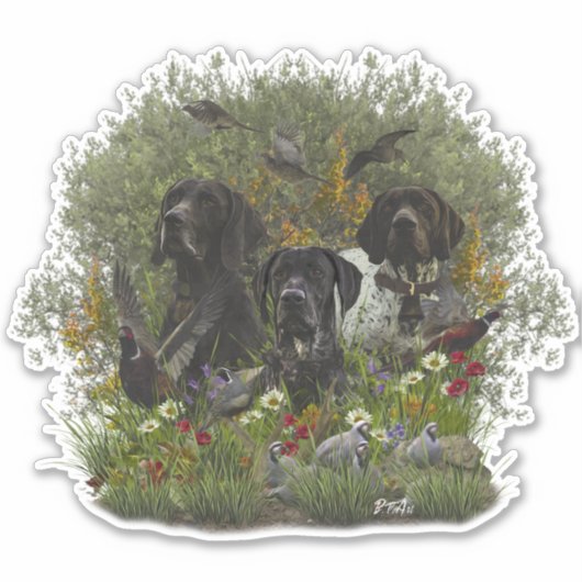 Duitse Shorthaired Pointers Sticker (Voorkant)