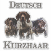 Duitse Shorthaired Pointers Sticker (Voorkant)
