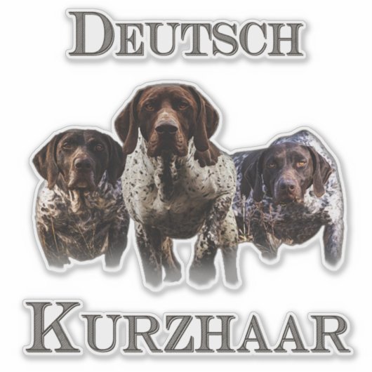Duitse Shorthaired Pointers Sticker (Voorkant)