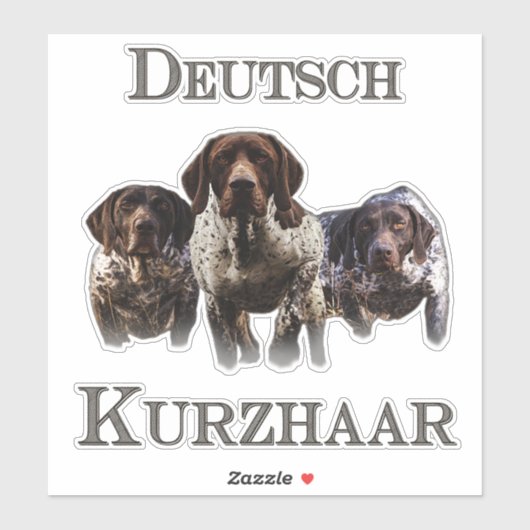 Duitse Shorthaired Pointers Sticker (Vel)