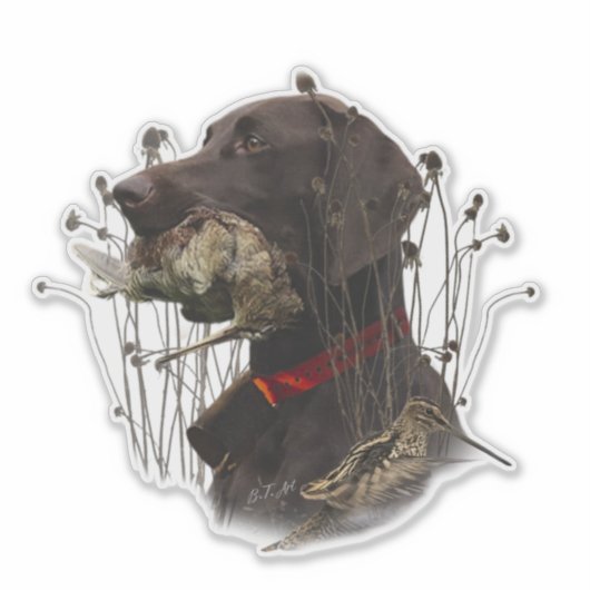 Duitse Shorthaired Pointers Sticker (Voorkant)