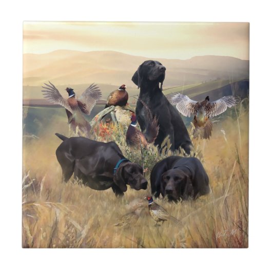Duitse Shorthaired Pointers Tegeltje (Voorkant)